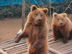 -济南野生动物世界