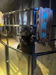 -酷嗒动物文化乐园(cutezoo西溪乐天城店)