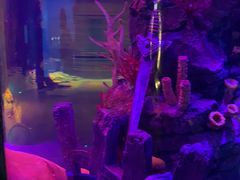 -沈阳海洋探索中心