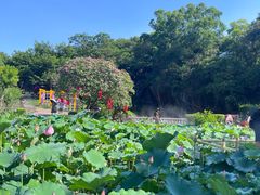 -广州莲花山旅游区