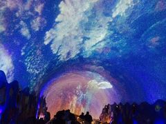 -成都浩海立方海洋公园