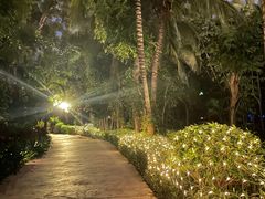 -三亚湾海居铂尔曼度假酒店