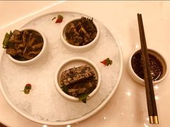 -CHIC1699远洋私厨