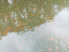 -黛秀湖公园