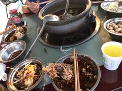 -老杨砂锅鱼庄