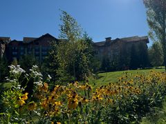 -果松木炭酸菜铜火锅·外婆参鸡汤