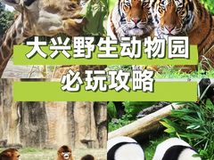 -北京野生动物园