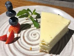 传统重芝士蛋糕-巴别塔法餐舍(合作路店)