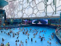 -水立方嬉水乐园