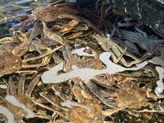 -海鲜e族(马王堆店)