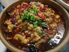 牛蛙-梧桐树下(云锦世家店)