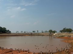 -鄱阳湖国家湿地公园