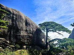 -黄山风景区
