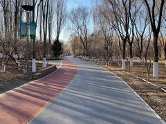 -大兴滨河森林公园