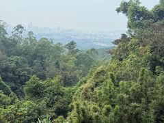 -火炉山森林公园
