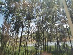 -百里峡七彩艺术小镇