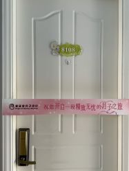 -童谣里医疗级月子中心(独栋湖景店)