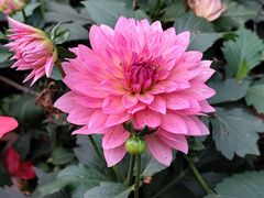 -共青国家森林公园-南大门停车场