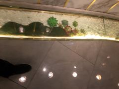 -金龙渔港(双楠店)