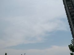 -苗祖咖啡(洛克时代中心店)