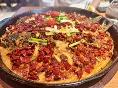 -老板恋上鱼(恒隆广场店)
