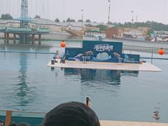 -秦皇岛乐岛海洋王国