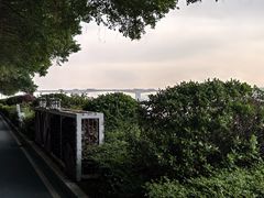 -大湾区中央湿地公园