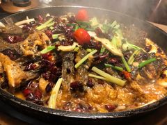 -老板恋上鱼(印象城店)