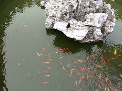 -海宁市观音寺