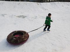 -1982农场
