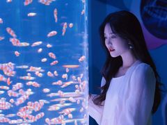 -海合安成都极地海洋公园