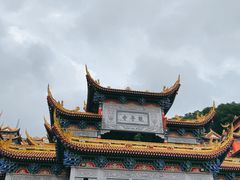 -东莞市大岭山森林公园