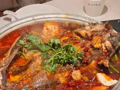 -川味堂·四川豆花(八卦岭店)