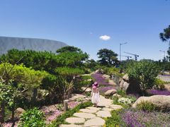 -罗红摄影艺术馆