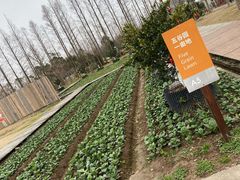 -前小桔亲子创意农场·草莓采摘·露营烧烤