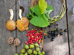 -三块石国家森林公园