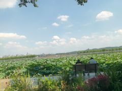 -杭州香格里拉·香宫中餐厅