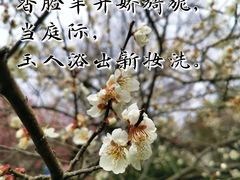 -杭州植物园