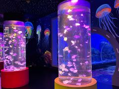 -顺德南宏海立方海洋公园