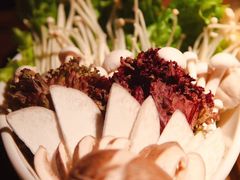 -九鼎轩脆毛肚火锅(三钢里店)