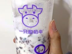 -一只酸奶牛(双流万达广场店)