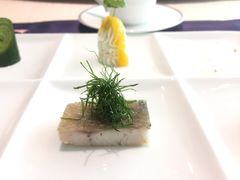 -诺莱仕游艇会