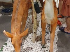 -东方之珠洗浴休闲广场(南开店)
