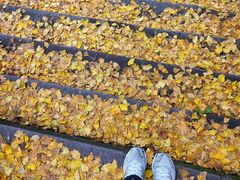 -金堂县云顶石城风景区