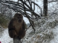 -峨眉山风景名胜区