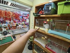 -宠物兔专门店(天丰利市场店)