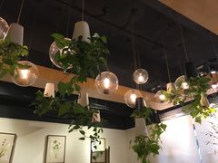 -柴务处·柴犬主题狗咖