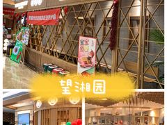 -望湘园·湖南菜(宏伊店)