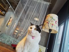 -么么咖啡(燕郊店)