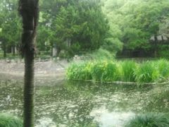 -叶家花园